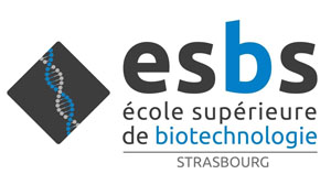 logo_esbs.jpg